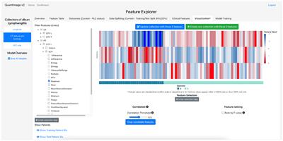 Making sense of radiomics: insights on human–AI collaboration in medical interaction from an observational user study